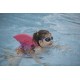 Dolphin Blue SwimFin