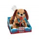 Peppy Pups