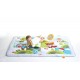 Tiny Love Meadow Days Super Mat, Meadow Days