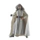 STAR WARS Jedi Master The Black Series Luke Skywalker Figure