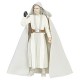 STAR WARS Jedi Master The Black Series Luke Skywalker Figure