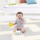 Skip Hop Explore and More Follow