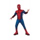 Official Rubie's Spider