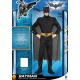 Dark Knight Rises Costume, Mens Batman Muscle Costume Style 2, Large, CHEST 42