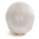 66fit Anatomical Life Size Human Skull