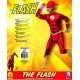 Rubie's Official DC Comics The Flash, Children Costume