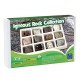 Learning Resources Igneous Rocks Collection