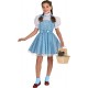 Rubie's Kid's Dorothy The Wizard Of Oz Kids Deluxe Costume, Small, Age 3