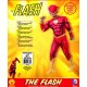 Rubie's Official DC Comics Deluxe The Flash, Children Costume