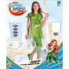 Rubie's Official DC Super Hero Girl's Deluxe Poison Ivy Costume