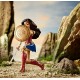 DC&nbsp;Comics 900 FDF39 Wonder Woman Shield Deluxe Doll