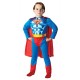 Rubie's Official DC Comics Batman Metallic Chest Superman, Children Costume
