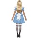Women's Alice In Wonderland Deck of Cards Costume