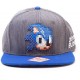 Sonic the Hedgehog Sonic Pixelated Don't Blink Snapback Cap