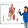 Learning Resources Double