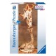 Ravensburger 15115 Panoramic Jigsaw Puzzle 'Giraffe