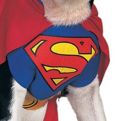 Rubie's Official Pet Dog Costume, Superman