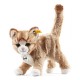 Steiff Mizzy Cat (Blond Tabby)
