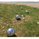 Garden Games 4