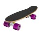 Complete 55cm Maple Wooden Retro 22” Mini Cruiser Board by Ridge Skateboards