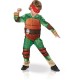 Rubie's Official Teenage Mutant Ninja Turtle Deluxe, Child Costume