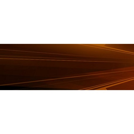 Assassins Creed Syndicate Monopoly Board Game