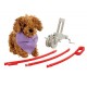 Go Puppy Go