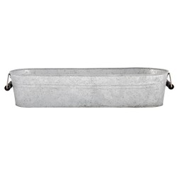 Fallen Fruits Old Zinc Long Oval Planter