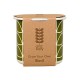 Orla Kiely Grow Your Own Basil Kit