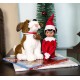 Elf on The Shelf A Saint Bernard Tradition Saint Bernard Elf Pets