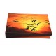 KnitPro the Goldern Light, Wood, Assorted, 27 x 18.5 x 4.5 cm
