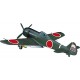 Hasegawa 1