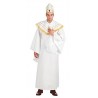 Catholic Pope Mens Fancy Dress Saints and Sinners Costume