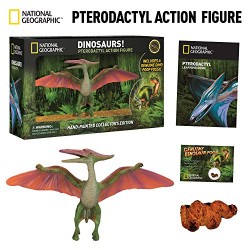 Pterodactyl Dinosaur by NATIONAL GEOGRAPHIC