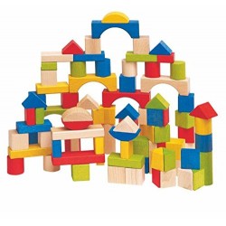 Woodyland Didactic Toys Toddler Wooden Blocks (100
