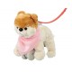 Go Puppy Go