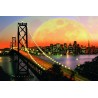 Ravensburger 17039 5 San Francisco at Night Puzzle (3000
