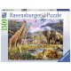 Ravensburger 16333 5 Colorful Africa Puzzle (1500