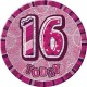 Glitz Pink 16th Birthday Party Supplies Kit for 8