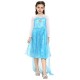Girls Fancy Elsa Frozen Princess Dress Set