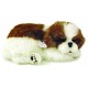 88 Unlimited Sleeping Shih Tzu Plush