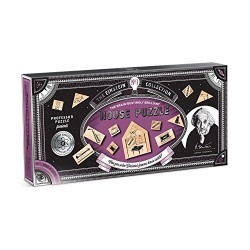 Professor Puzzle The Einstein Collection Einstein's House Riddle
