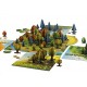 Blue Orange Photosynthesis Family Game
