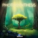 Blue Orange Photosynthesis Family Game