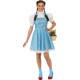 Rubie's Official Wizard of Oz Dorothy, Adults Costume