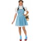 Rubie's Official Wizard of Oz Dorothy, Adults Costume