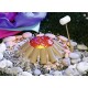 Baby Born Play and Fun Camping Set