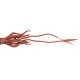 Giant Squid