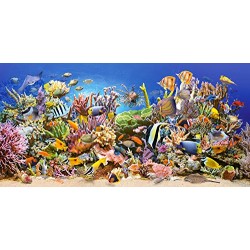 Castorland Underwater Life Jigsaw (4000