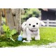 Baby Born 823668 Pony Farm Puppy Doodle